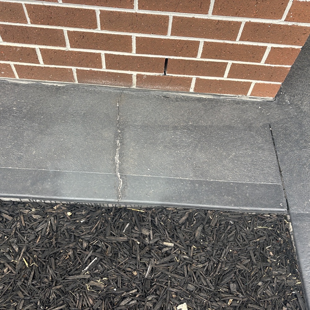 What a timber pest inspection covers in Donnybrook